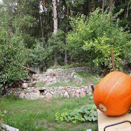 House In Near Baltic Sea 別荘