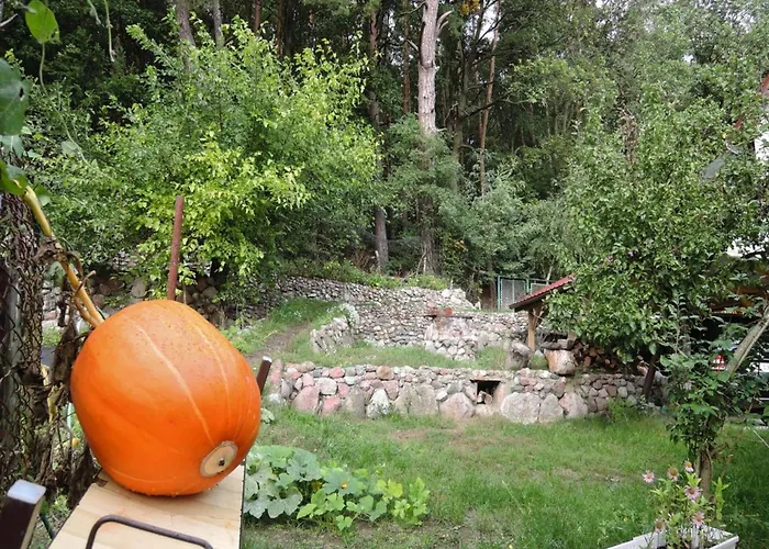 House In Near Baltic Sea * Wisełka